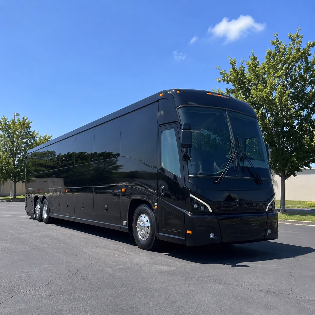 albuquerque 56 passenger charter bus